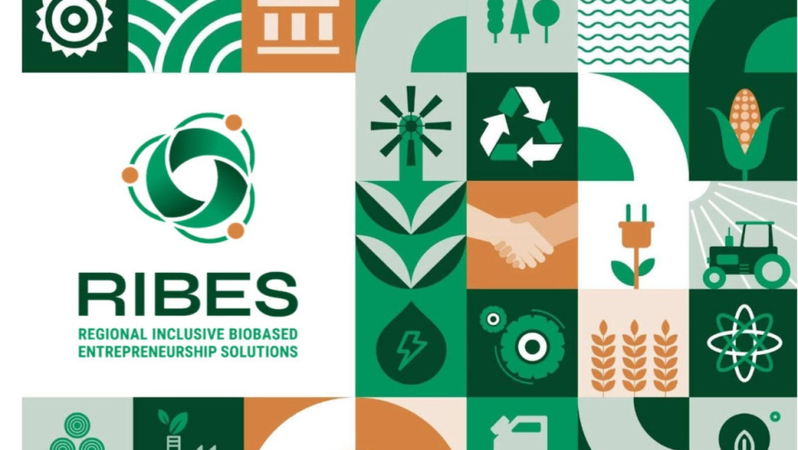 Workshop cu participare națională în cadrul proiectului RIBES